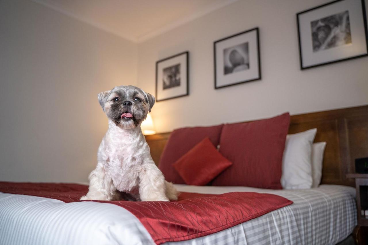 Mercure Canberra Eksteriør bilde